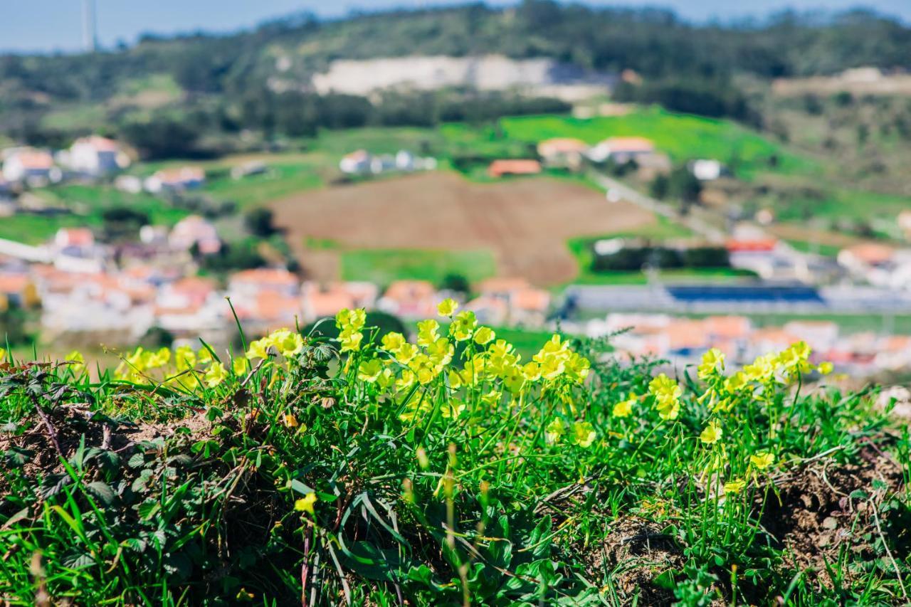 Traditional Portuguese Village House - Casa Martins No 52 Freiria Esterno foto