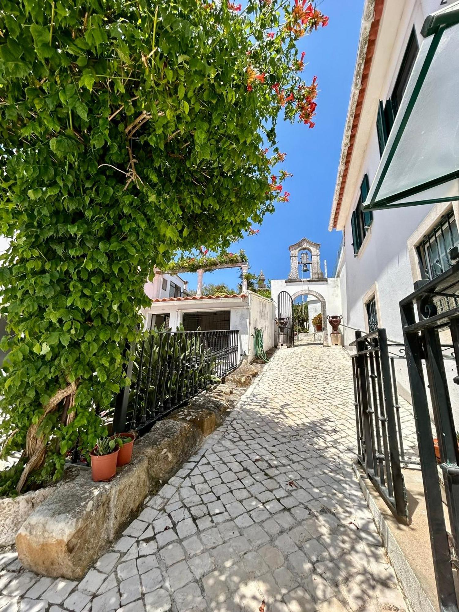 Traditional Portuguese Village House - Casa Martins No 52 Freiria Esterno foto